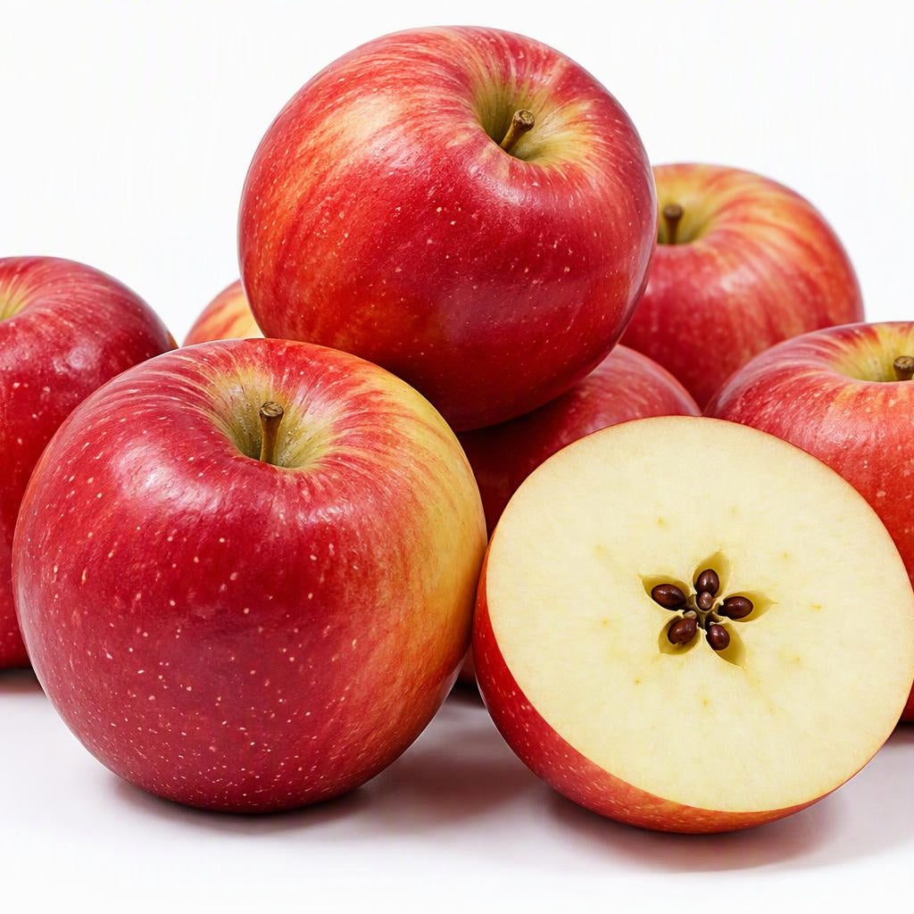 Malus domestica 'Pacific Rose' MM106 (Apple)