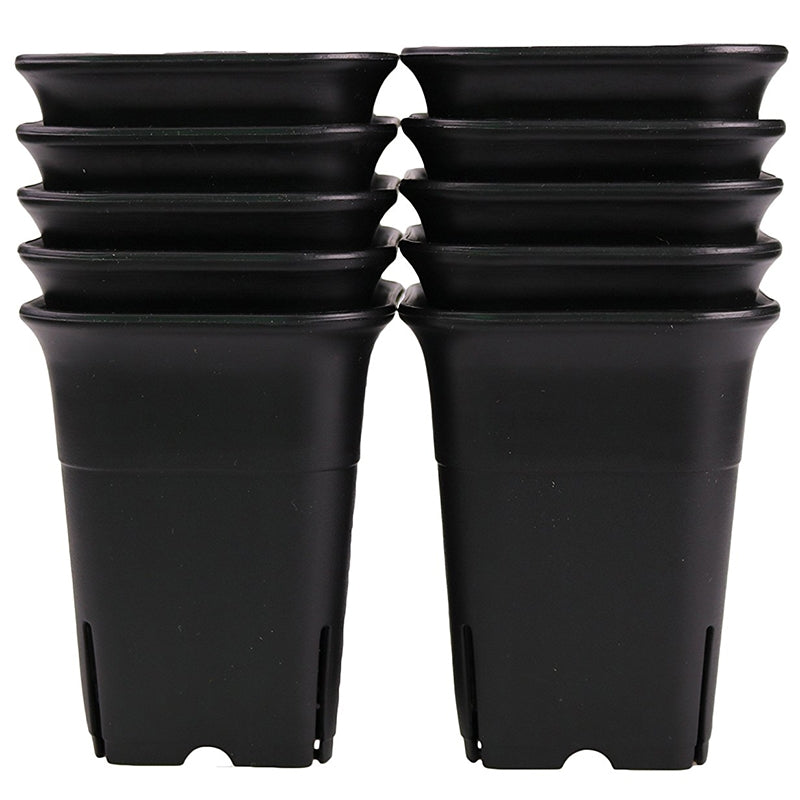 Square Deep Nursery Tree Pot Pikirangi