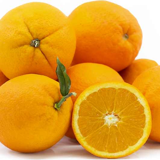 Citrus x sinensis 'Fukumoto' (Orange) Dwarf