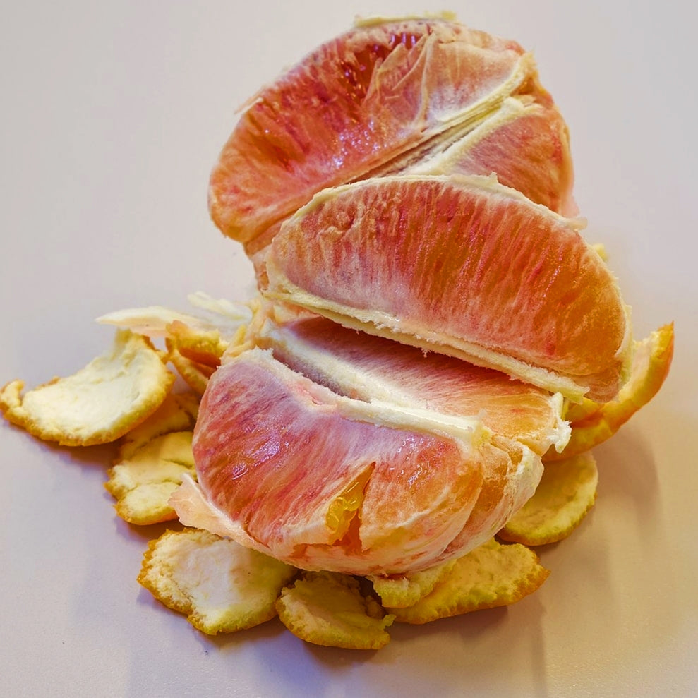 Citrus x sinensis 'Blood Orange' (Blood Orange)