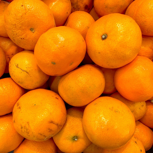 Citrus reticulata 'Murcott' (Mandarin, Honey Tangerine)
