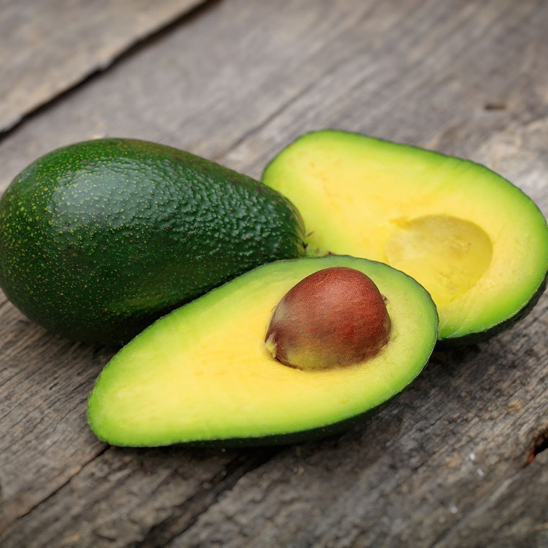 Persea americana 'Sharwil' (Avocado)