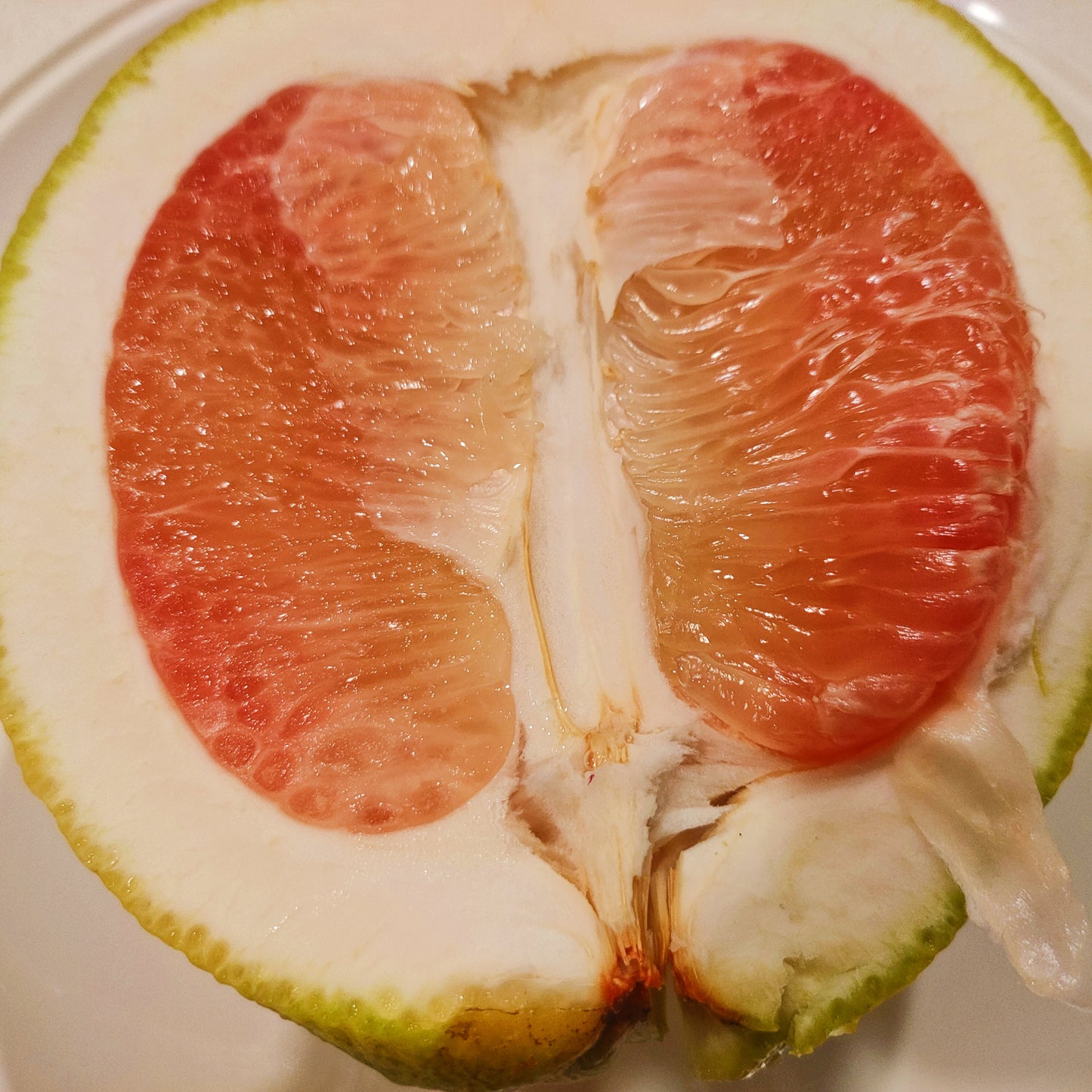 Citrus maxima (Pomelo)