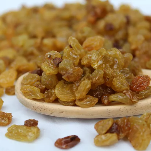 Vitis vinifera ssp. sativa 'Thompson Seedless' (Sultana Grape)
