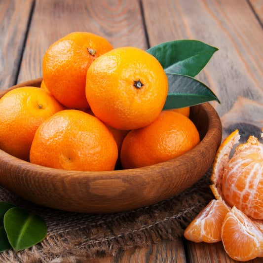 Citrus reticulata 'Bay Sweetie' (Mandarin)