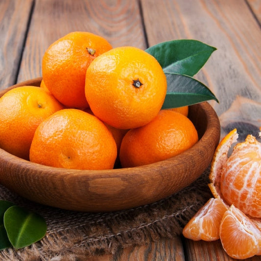 Citrus reticulata 'Bay Sweetie' (Mandarin) Pikirangi