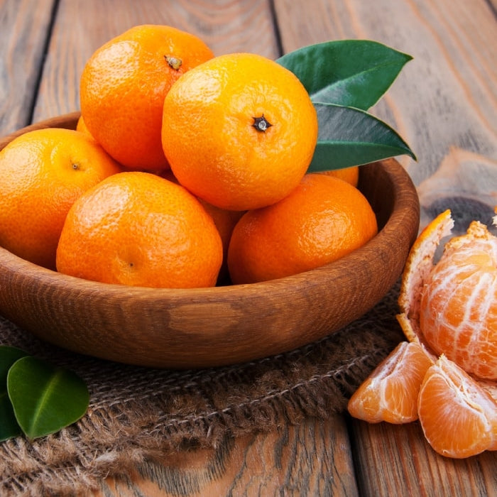 Citrus reticulata 'Bay Sweetie' (Mandarin) Dwarf Pikirangi