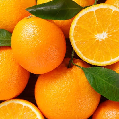Citrus Γ sinensis 'Carter's Navel' (Orange)