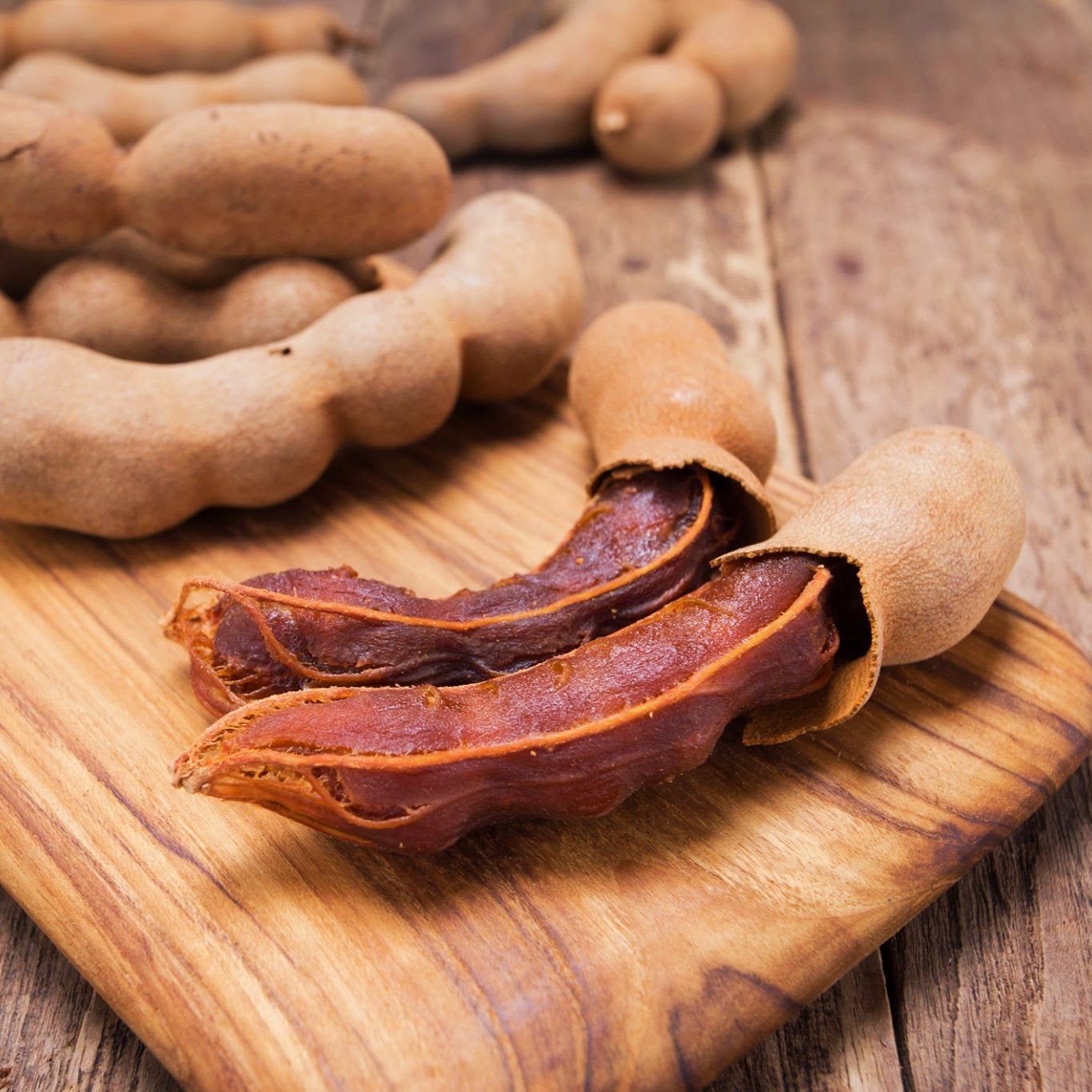 Tamarindus indica (Tamarind)