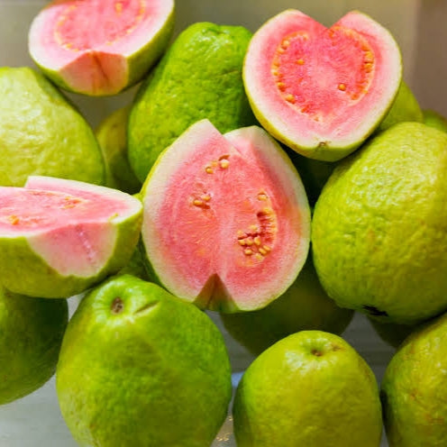 Psidium guajava (Guava) Pink S010