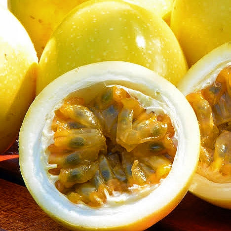 Passiflora edulis 'Golden Passion' (Passionfruit) S001