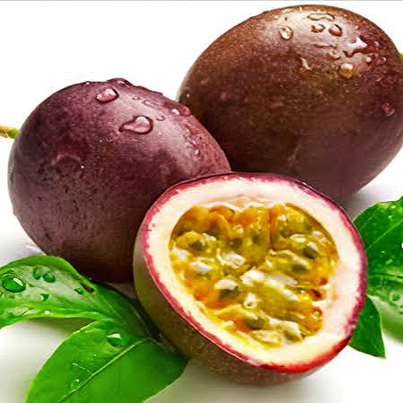 Passiflora edulis 'Black Beauty' (Passionfruit) S001