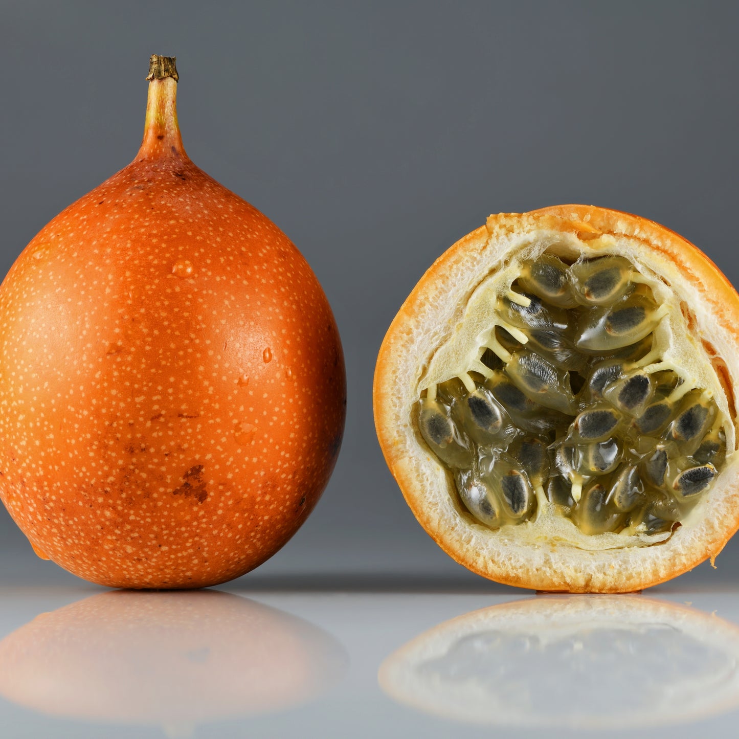 Passiflora ligularis (Sweet Granadilla)