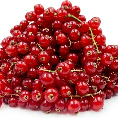 Ribes rubrum (Red Currant) S001