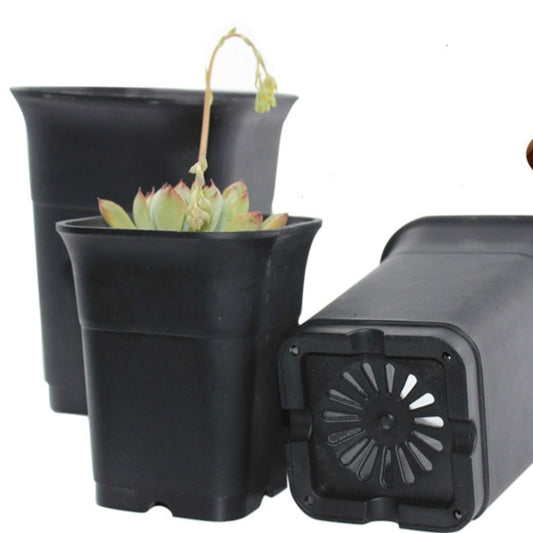 Square Deep Nursery Tree Pot