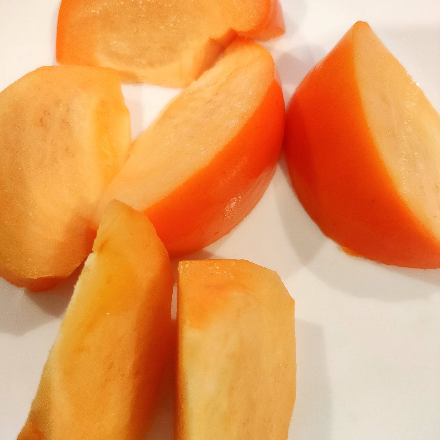 Diospyros kaki 'Fuyu' (Japanese Persimmon)