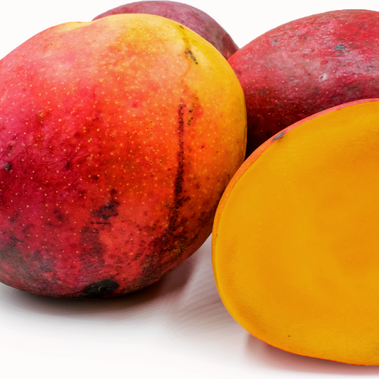 Mangifera indica 'Tommy Atkins' (Mango) Pikirangi