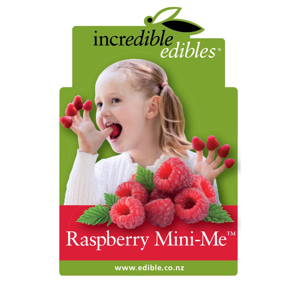 Rubus idaeus 'Mini-Me™' (Raspberry) PVR Pikirangi Online Garden Centre