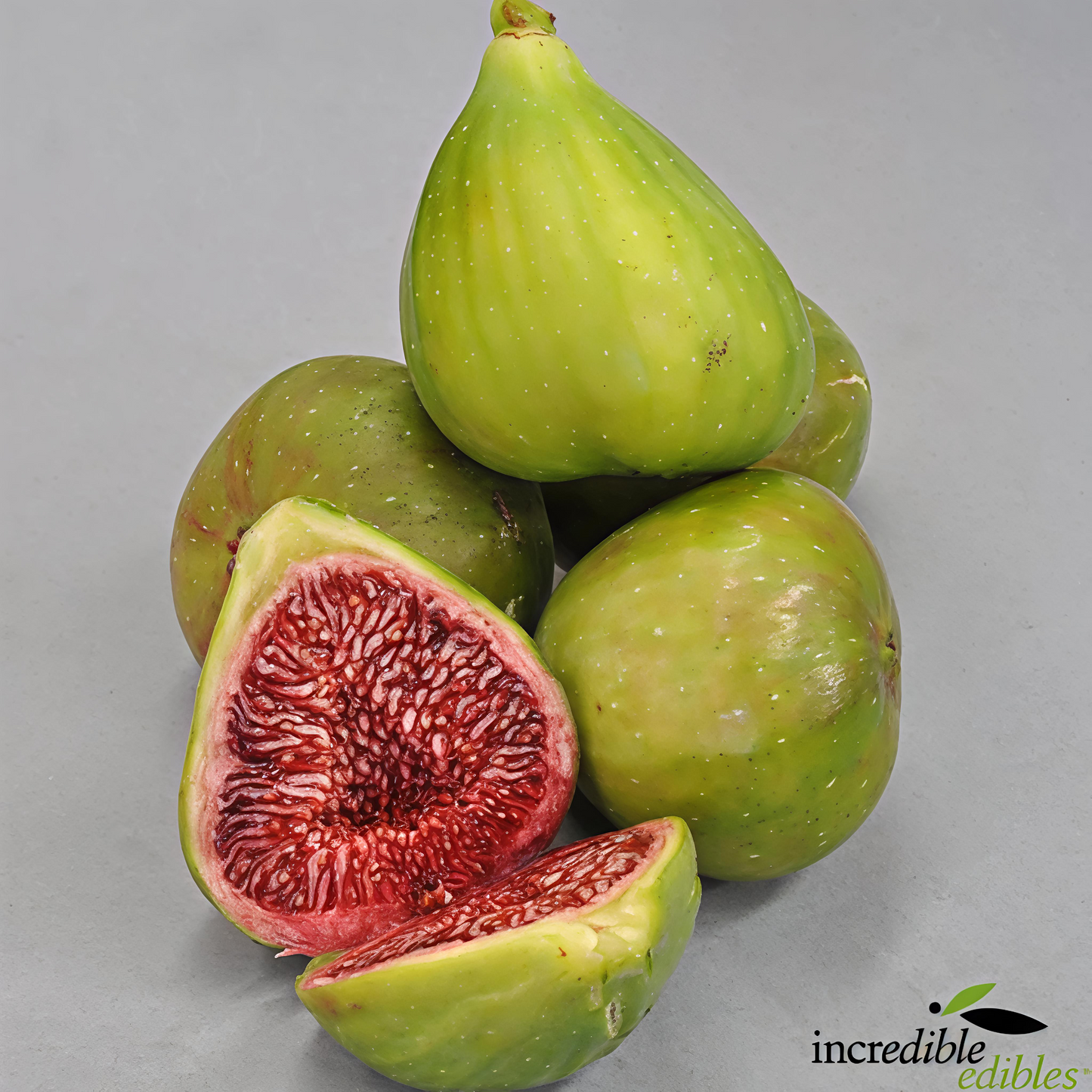 Ficus carica 'Candy' (Fig)