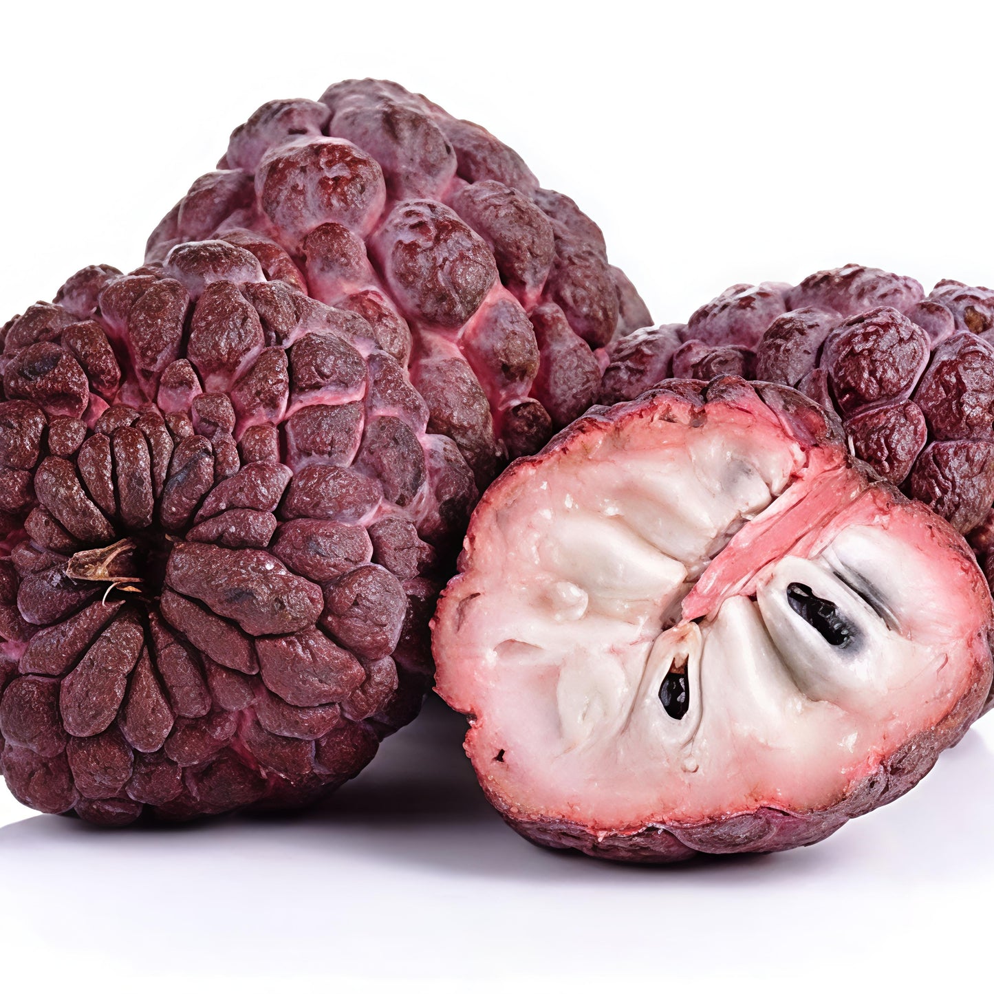 Annona squamosa 'Kampong Mauve' (Purple Sugar Apple)