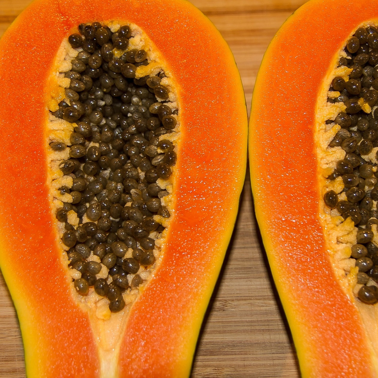 Carica papaya 'Nuan Damnoen' (Papaya) Dwarf Pikirangi