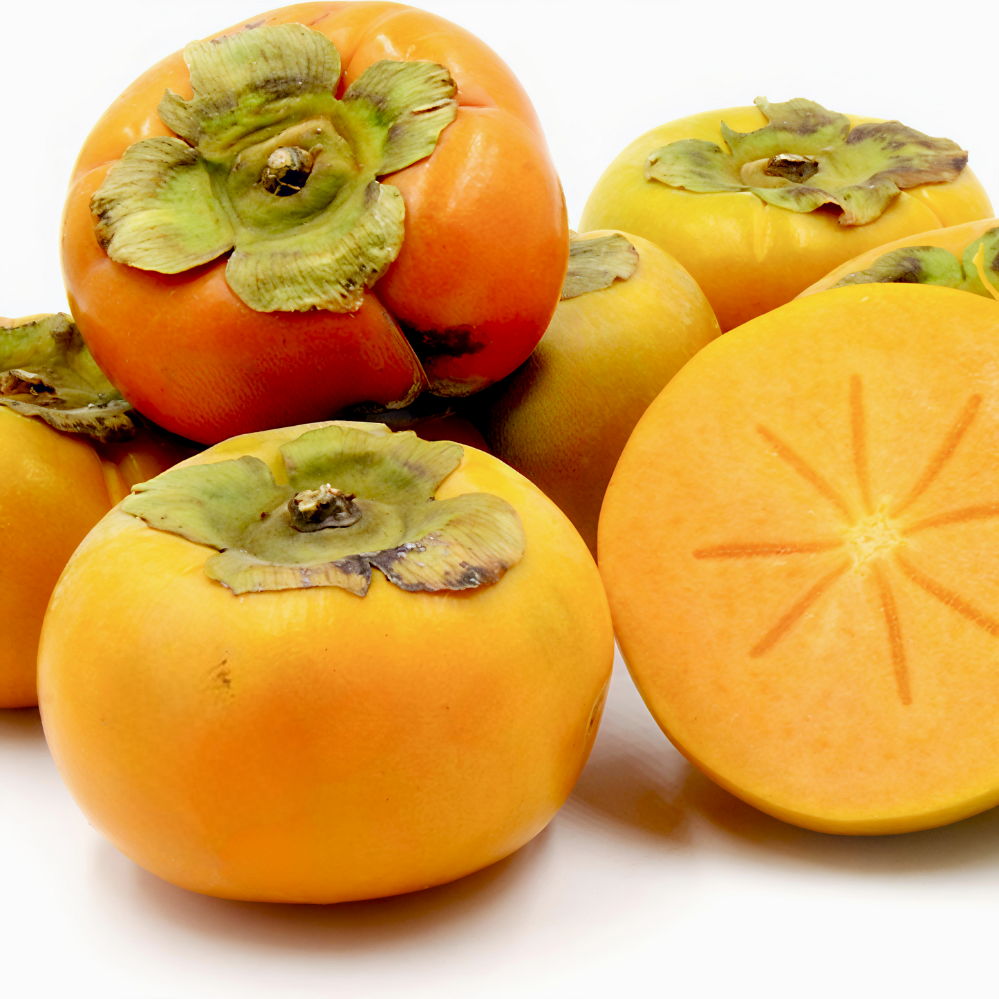 Diospyros kaki 'Izu' (Japanese Persimmon)