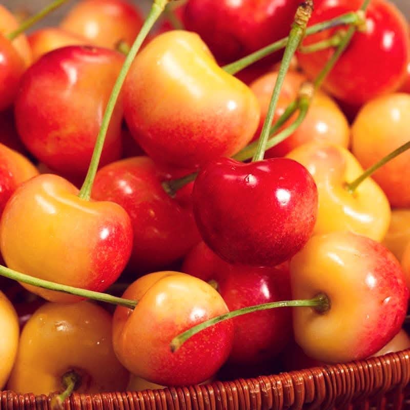 Prunus avium 'Rainier' (Cherry) Pikirangi