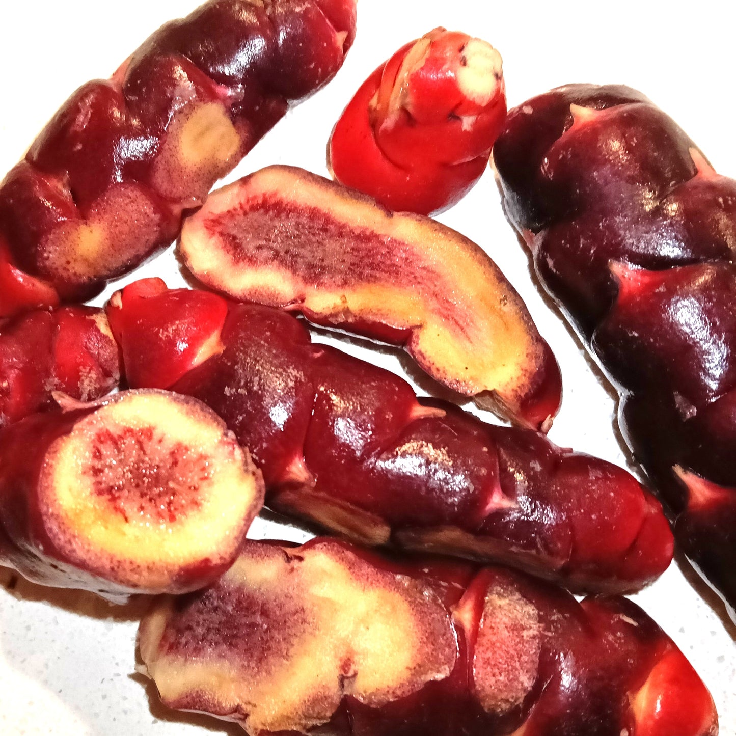Oxalis tuberosa 'Burgundy' (Uqa, Oca, Yam) Pikirangi Online Garden Centre