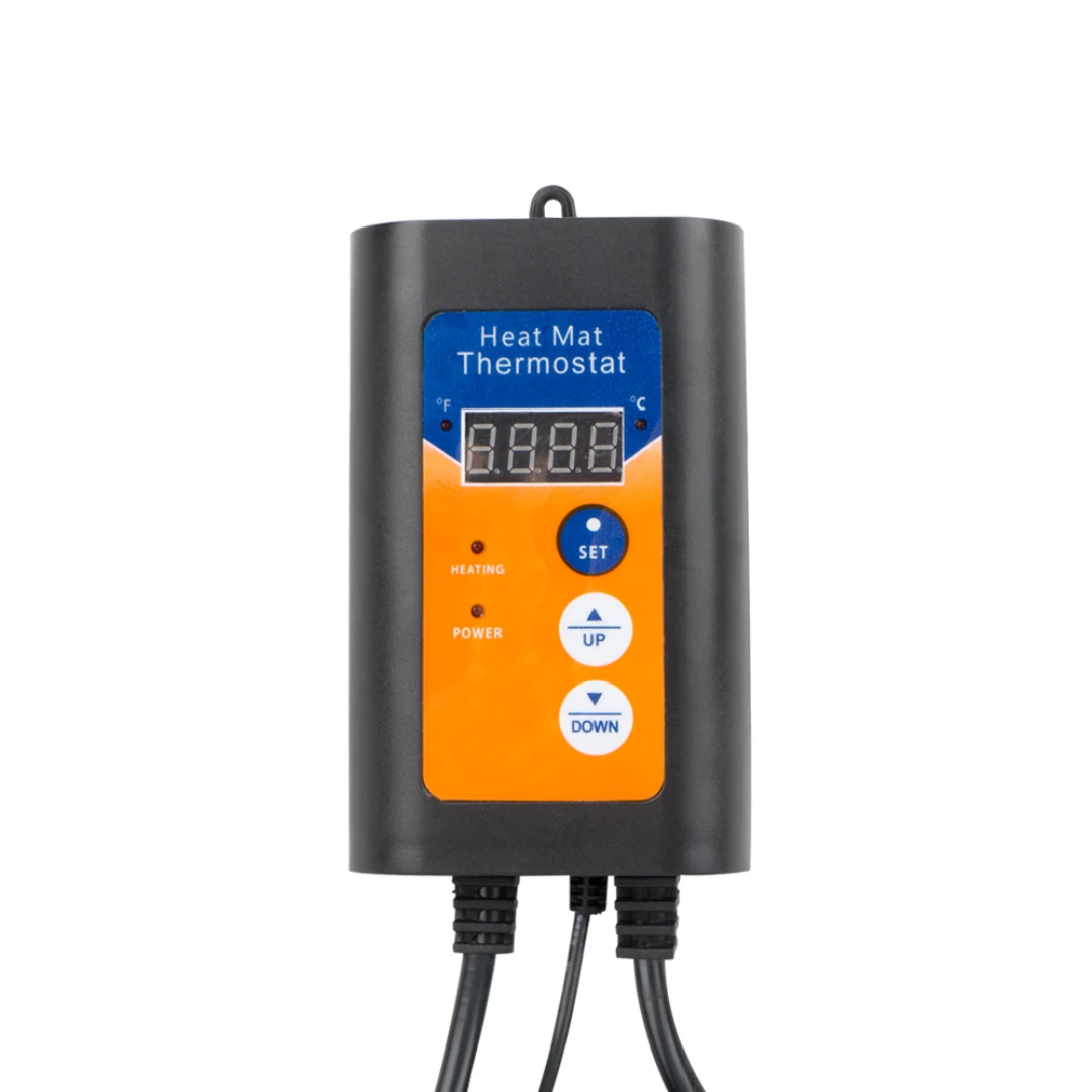 TriLite Digital Thermostat Pikirangi