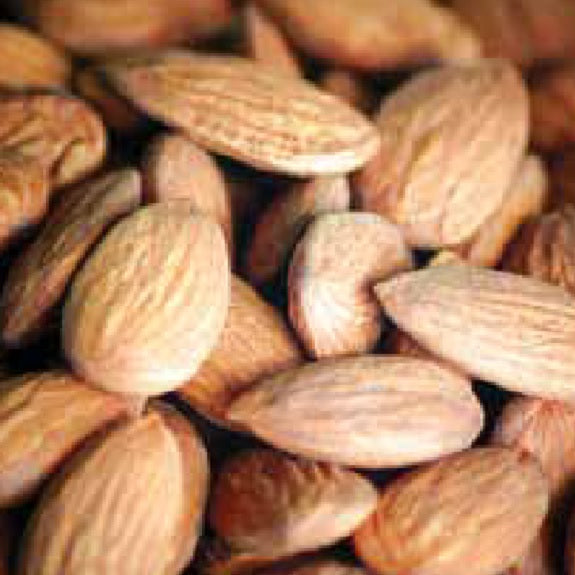 Prunus amygdalus (Almond 'All In One') Pikirangi