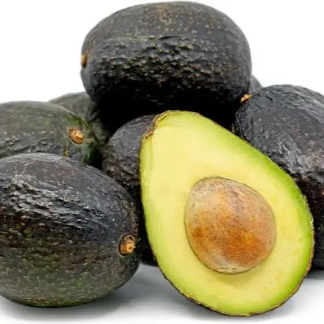 Persea americana 'Hass' (Avocado) S002