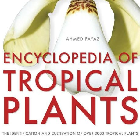 Encyclopedia of Tropical Plants Pikirangi