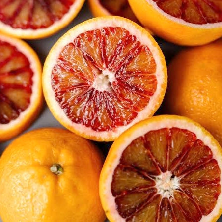 Citrus x sinensis 'Moro' (Blood Orange, Raspberry Orange)