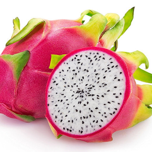 Selenicereus undatus (White Dragon Fruit) S006