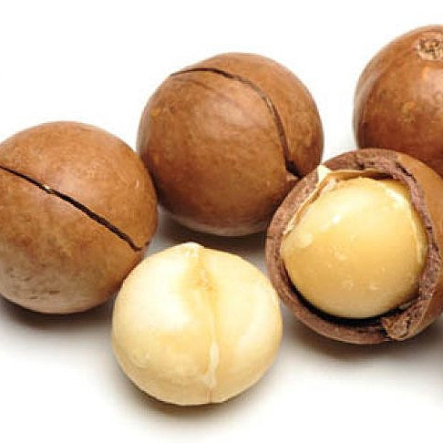 Macadamia 'Renown' Pikirangi
