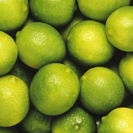 Citrus x latifolia 'Bearss' (Lime) Dwarf Pikirangi