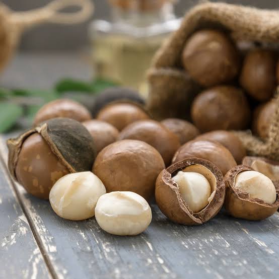 Macadamia 'Renown'