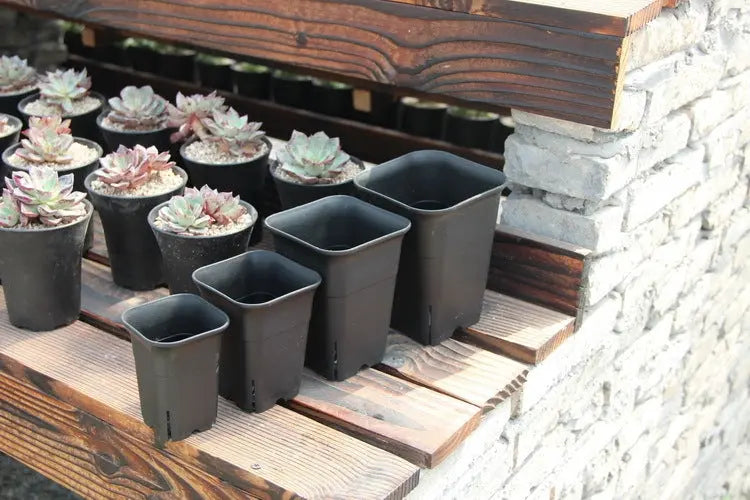 Garden Equipment & Accessories