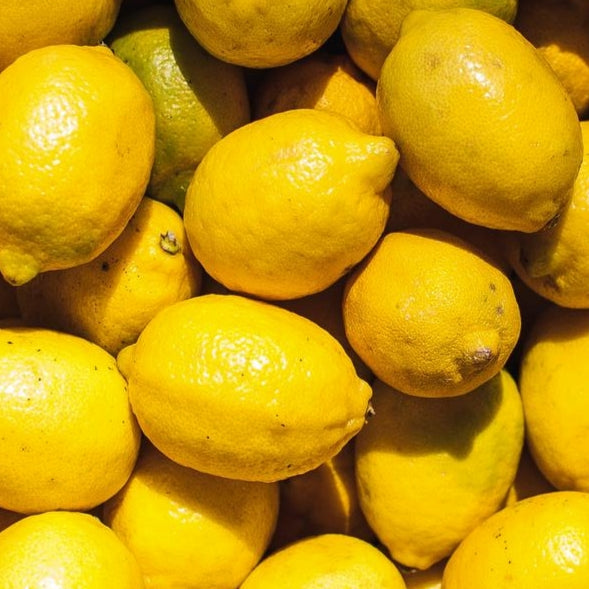 Citrus × limon 'Villa Franca' (Lemon)