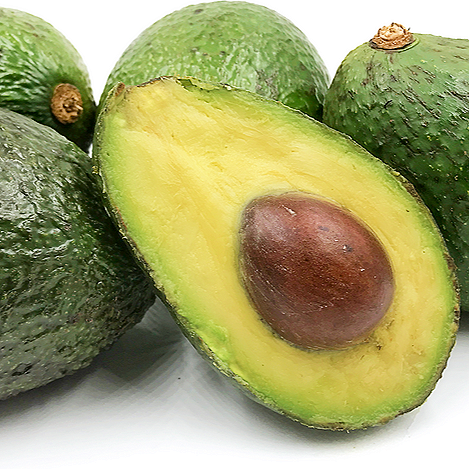 Persea americana 'Sharwil' (Avocado)