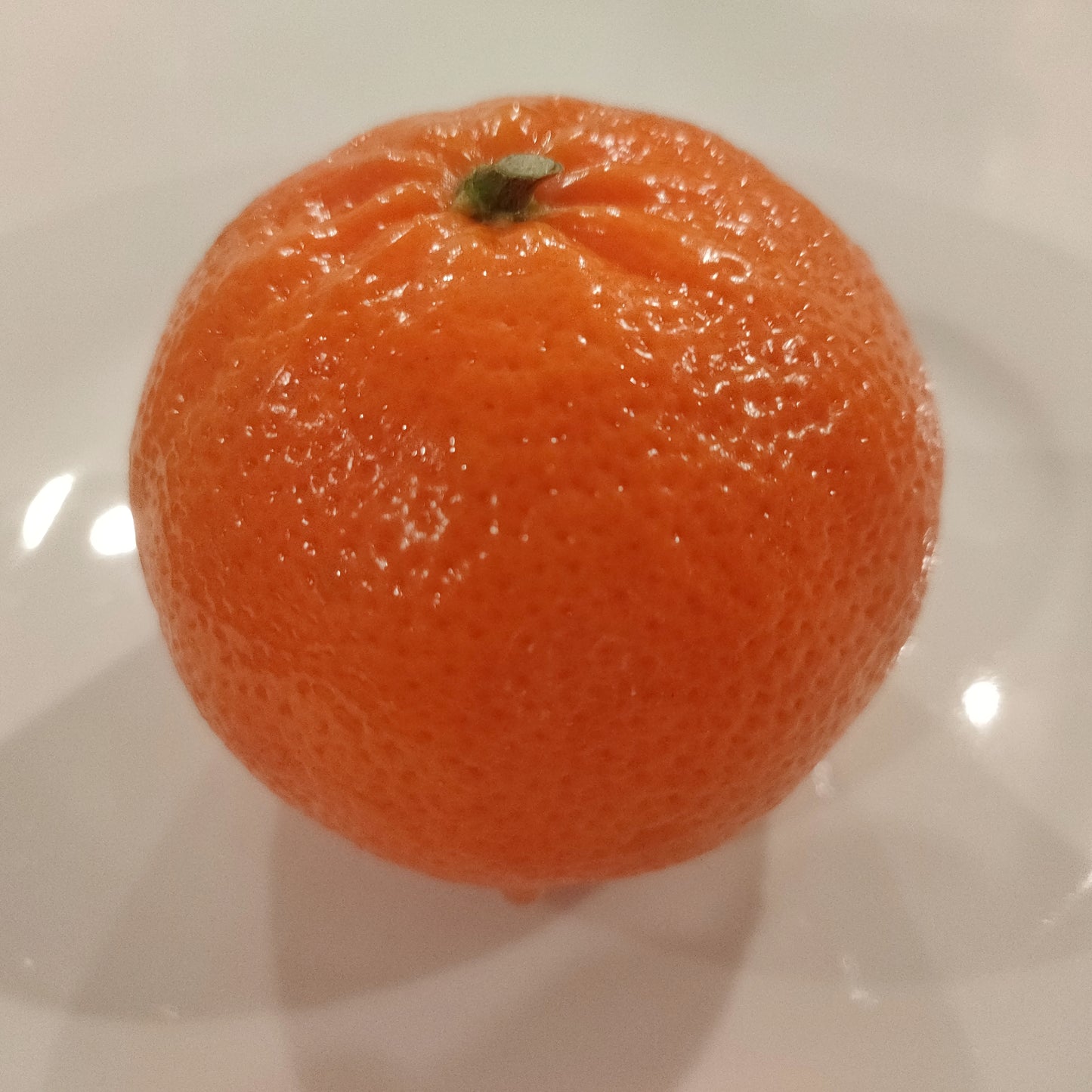 Citrus reticulata 'Afourer' (Mandarin)