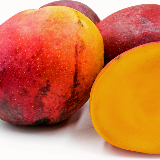 Mangifera indica 'Tommy Atkins' (Mango)