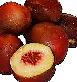 Prunus persica 'Mabel' (Nectarine)