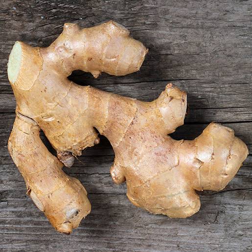 Zingiber officinale (Ginger)