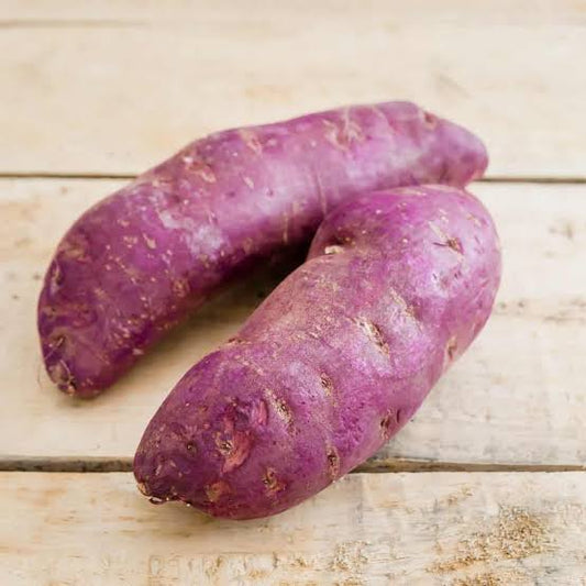 Ipomoea batatas 'Purple' (Sweet Potato, Kūmara)