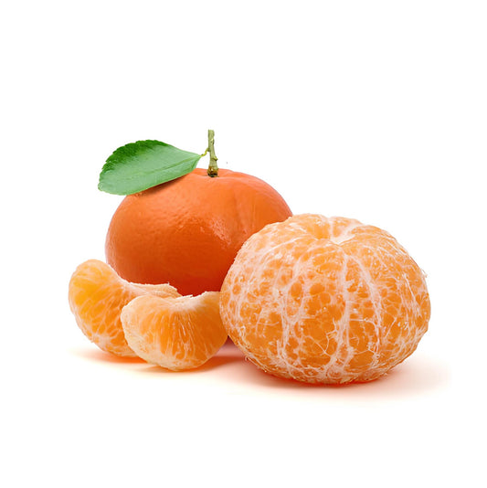 Citrus x paradisi 'Morrison's Seedless' (Grapefruit)