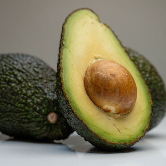 Persea americana 'Sharwil' (Avocado)