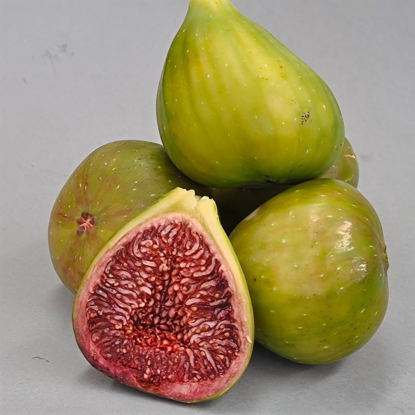 Ficus carica 'Candy' (Fig)