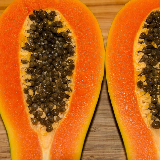 Carica papaya 'Nuan Damnoen' (Papaya) Dwarf