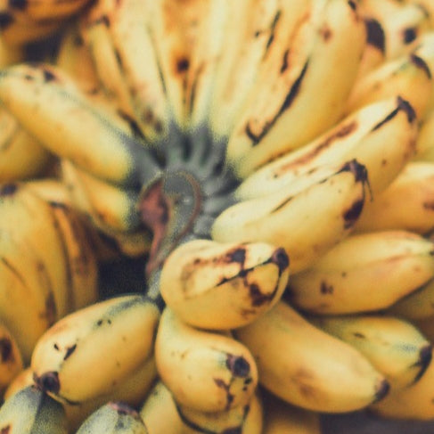 Musa 'Pisang Awak' (Ducasse Banana)